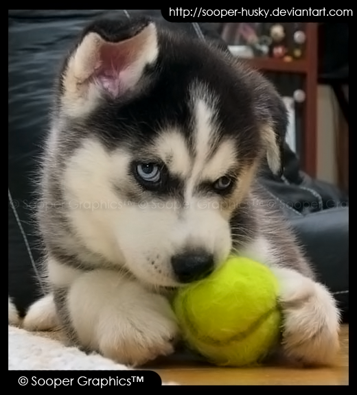 9c06c09f1186cba5fa86adebbabc0f03.png[